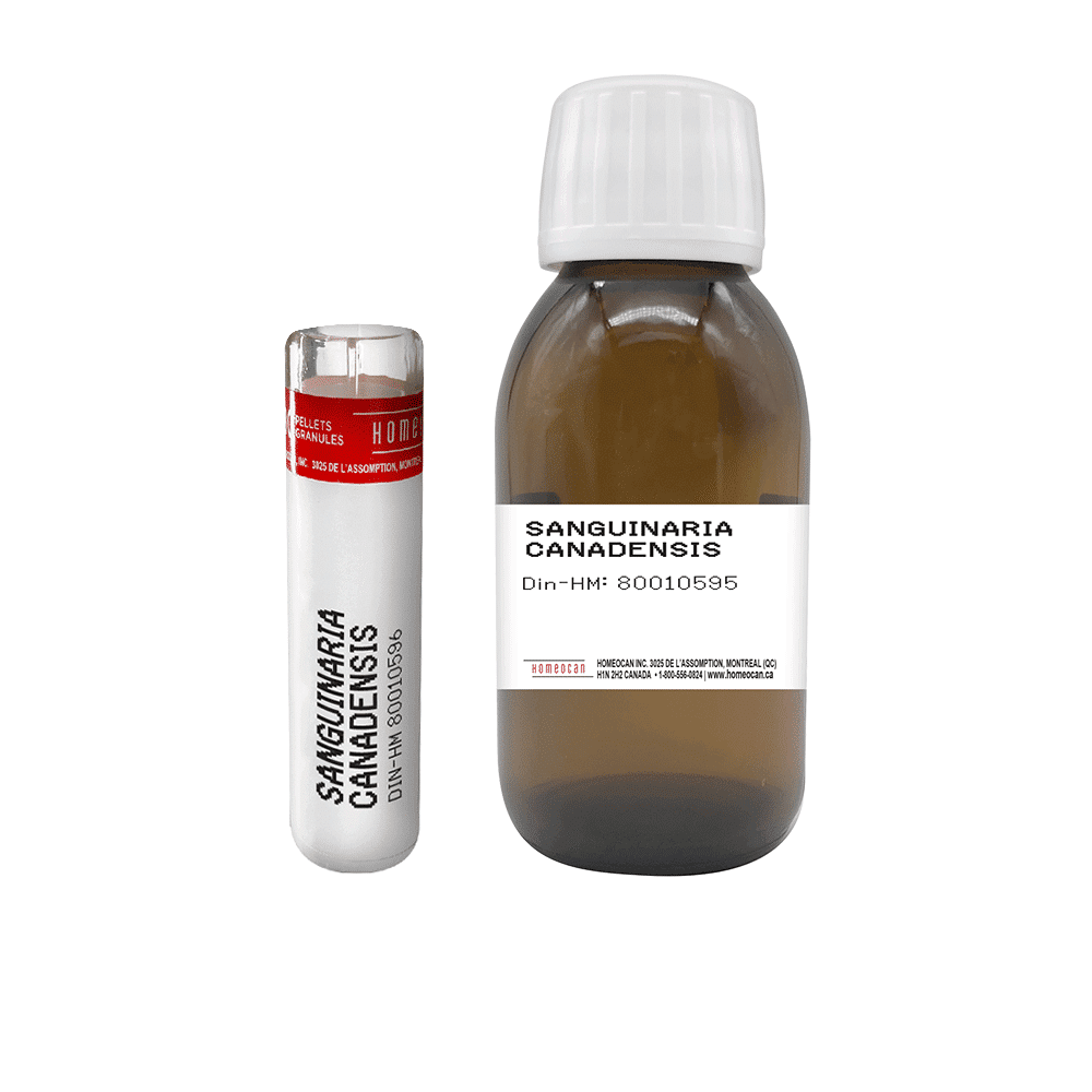 Sanguinaria Canadensis | Granules Unitaires
