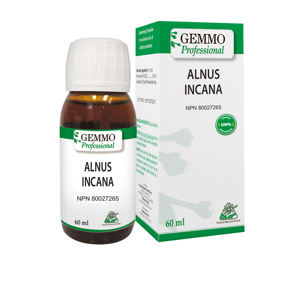 Alnus Incana Organic 60 ml | Gemmo Professional