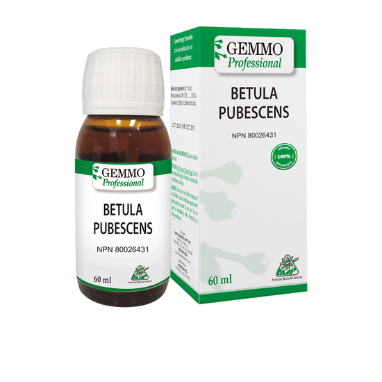 Betula Pubescens Organic 60 ml | Gemmo Professional
