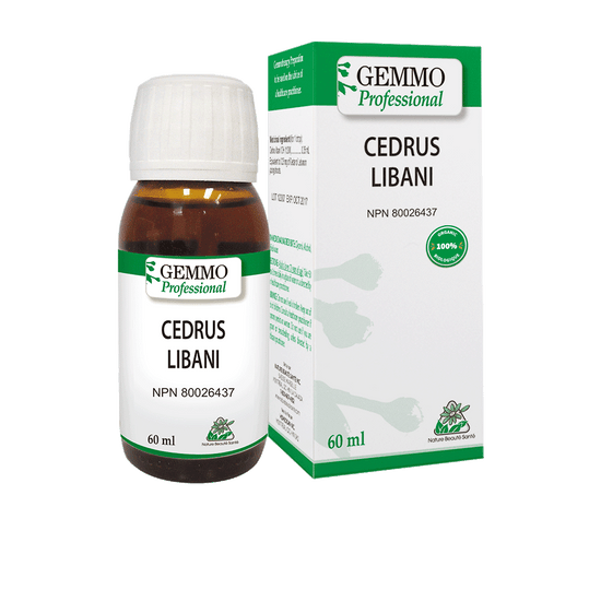 Cedrus Libani Organic 60 ml | Gemmo Professional