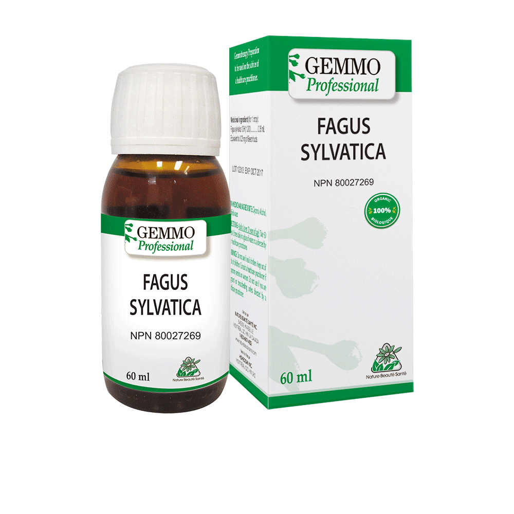 Organic Fagus sylvatica - Homeocan
