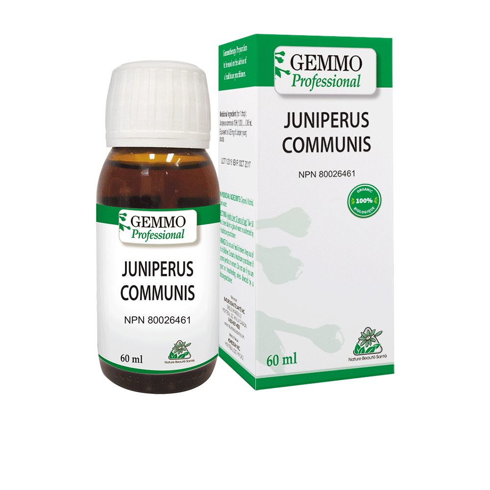 Juniperus Communis Organic 60 ml | Gemmo Professional