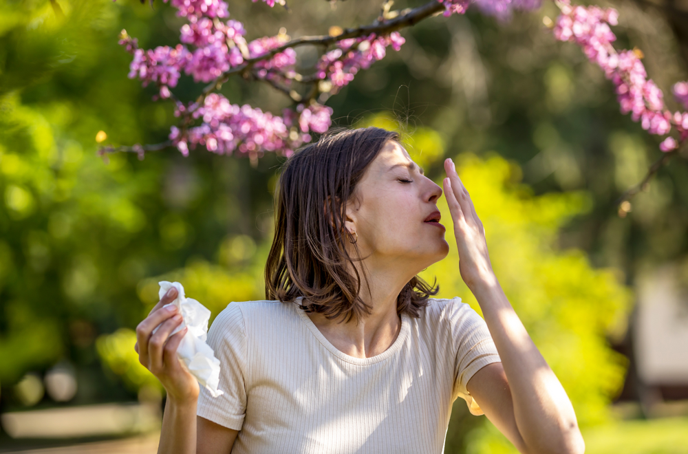 Les allergies : dites adieu aux éternuements avec des solutions naturelles