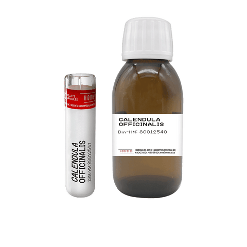 Calendula Officinalis  | Homeocan Lab