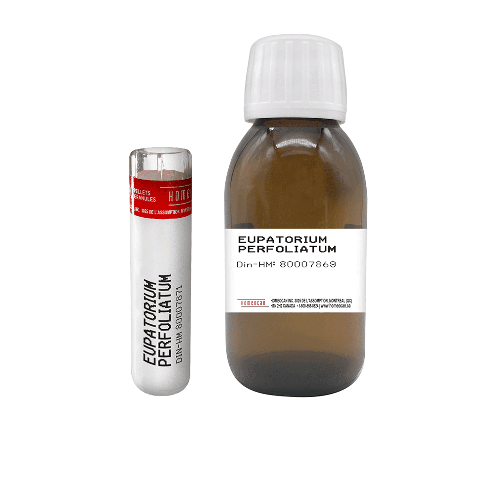 
                      
                        Eupatorium Perfoliatum | Homeocan Lab
                      
                    