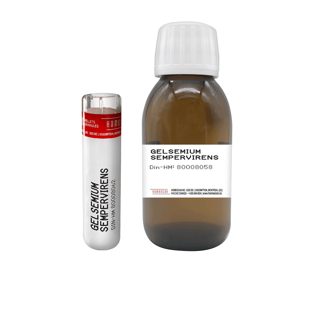 
                      
                        Gelsemium Sempervirens | Homeocan Lab
                      
                    