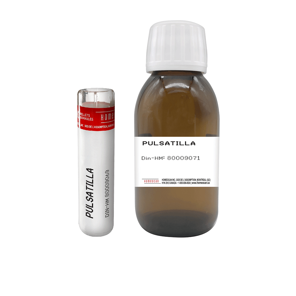 Pulsatilla | Homeocan Lab