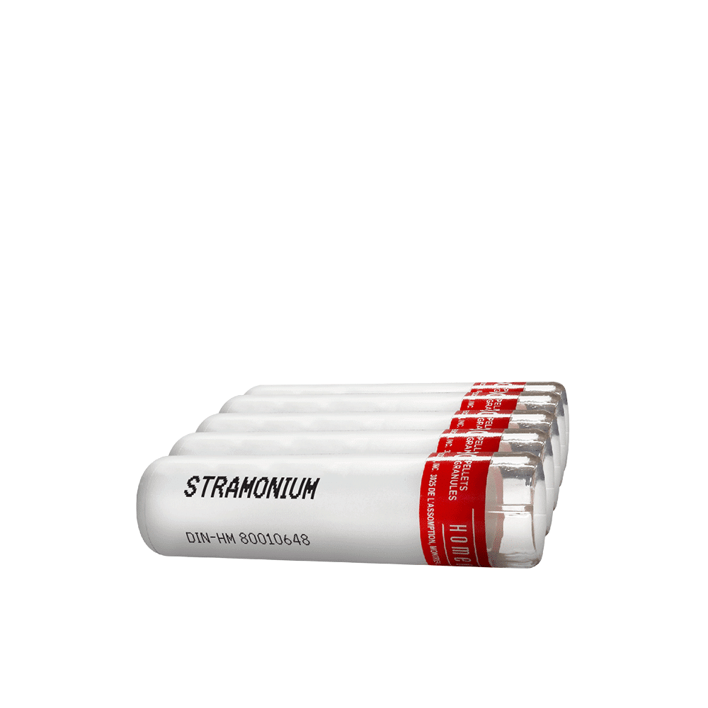 
                      
                        Stramonium
                      
                    