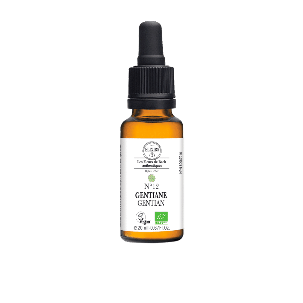 No.12 Gentian - Organic Single Elixir 20 ml | Bach Flowers