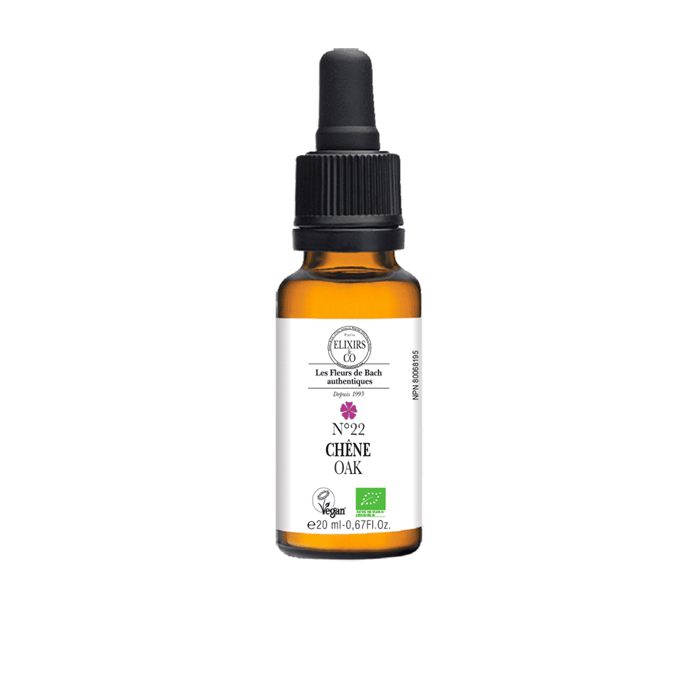 No.22 Oak - Organic Single Elixir 20 ml | Bach Flowers