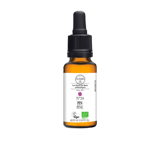No.24 Pine - Organic Single Elixir 20 ml | Bach Flowers