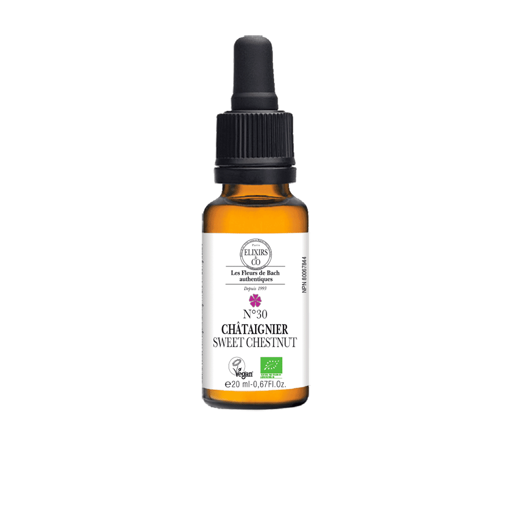 No.30 Sweet Chestnut - Organic Single Elixir 20 ml | Bach Flowers