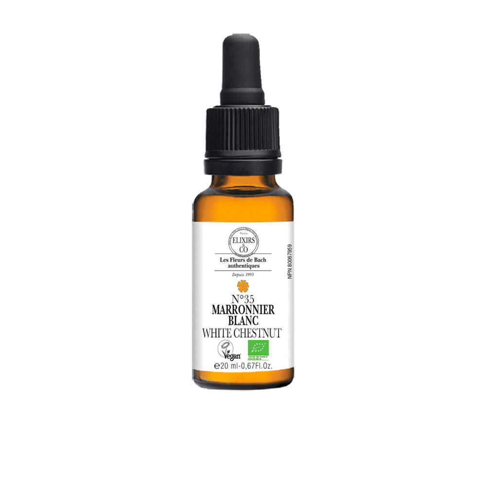 No.35 White Chestnut - Organic Single Elixir 20 ml | Bach Flowers