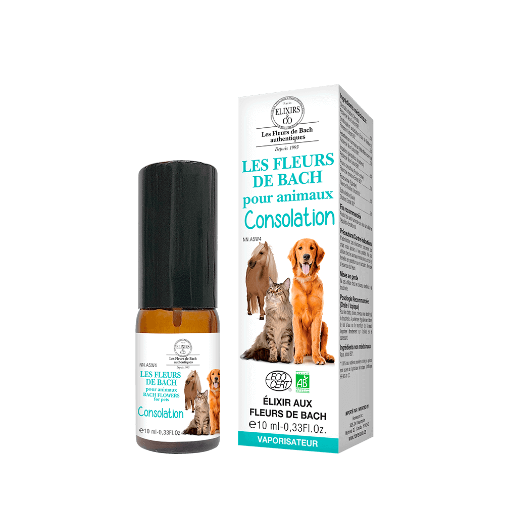 Consolation pour Animaux Bio