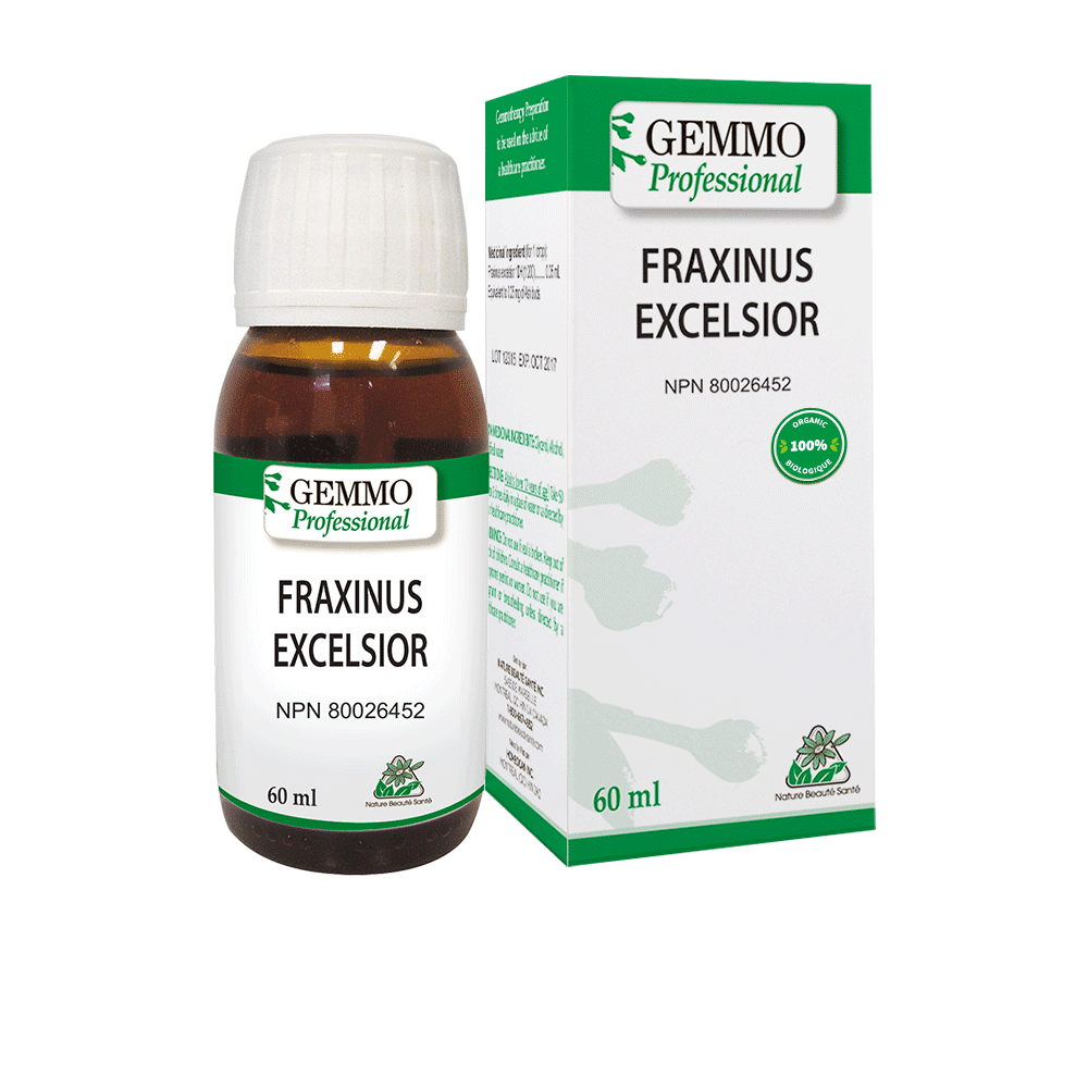 Frêne élevé - Extrait de Plante fraîche Bio (Fraxinus excelsior) - 50 ml main image 1