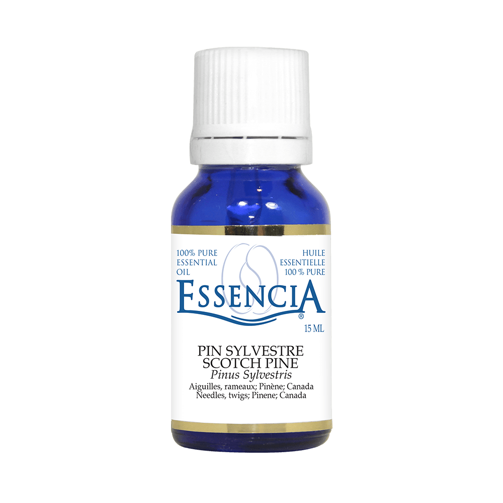 Scotch Pine Pure E.O. 15 ml | Essencia