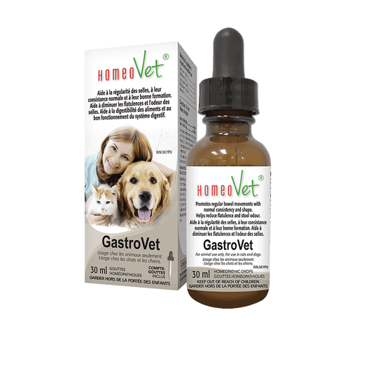 GastroVet 30 ml | HomeoVet Cats & Dogs