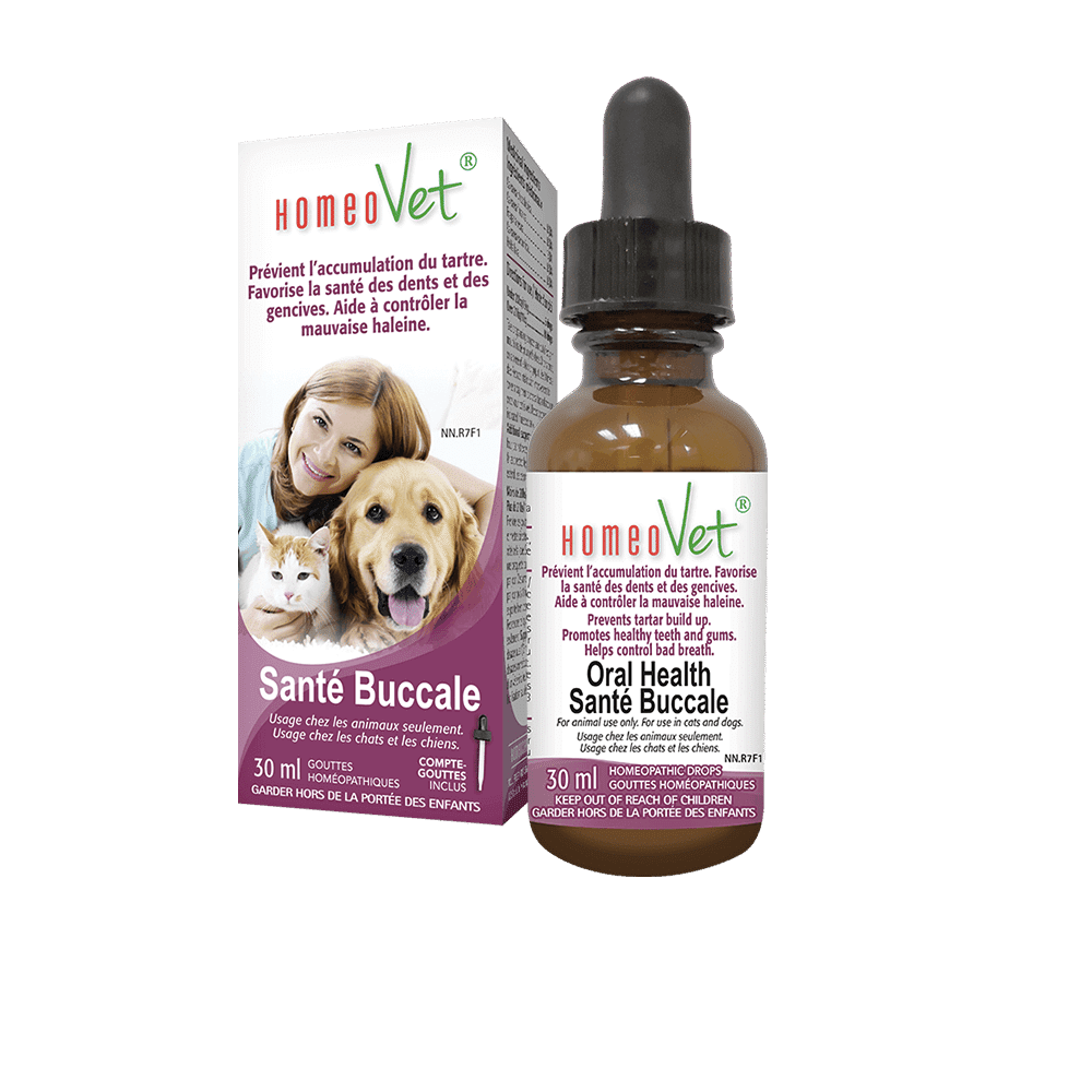 Oral Health 30 ml | Homeovet Cats & Dogs