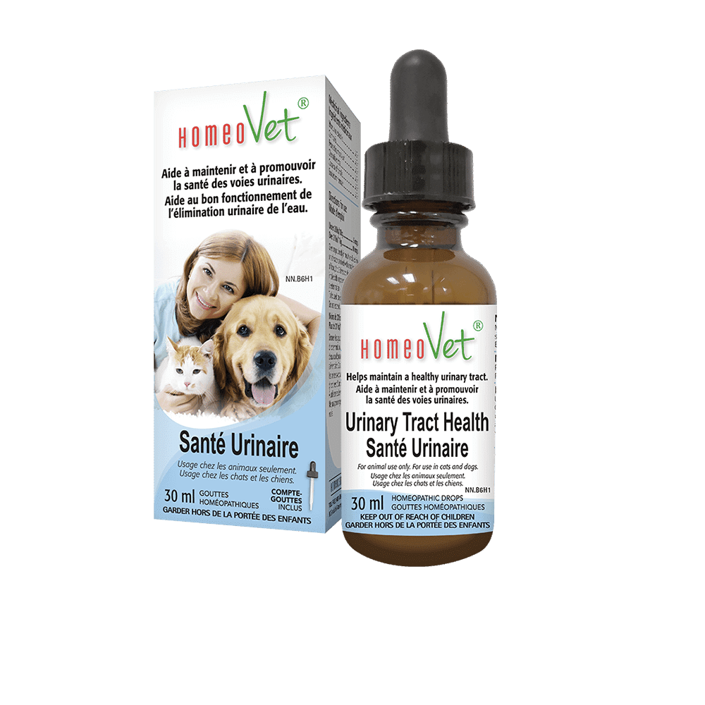Homeopathic medicine for cats outlet
