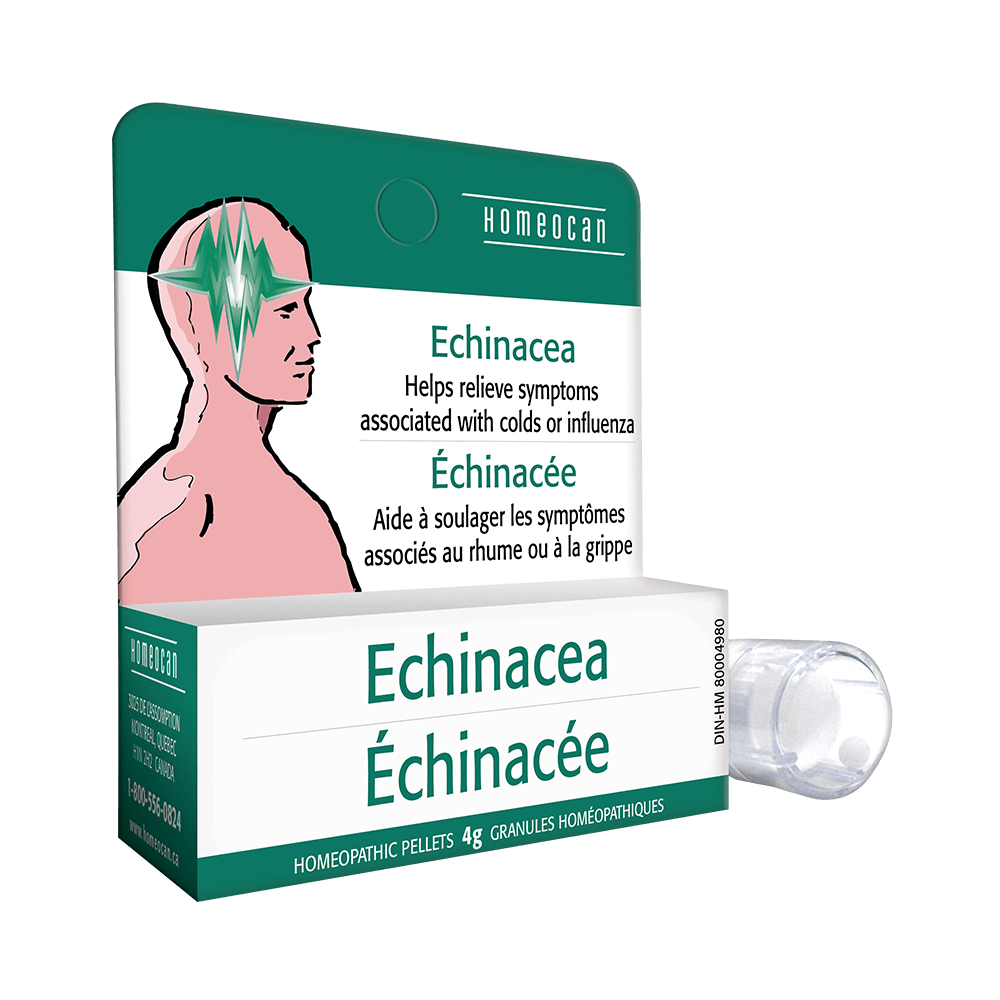 Échinacée